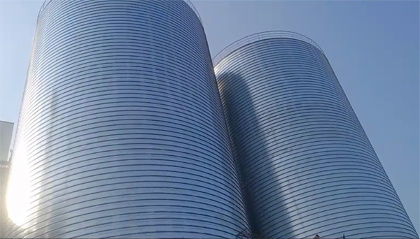 绍兴2座混凝土高架卷板仓